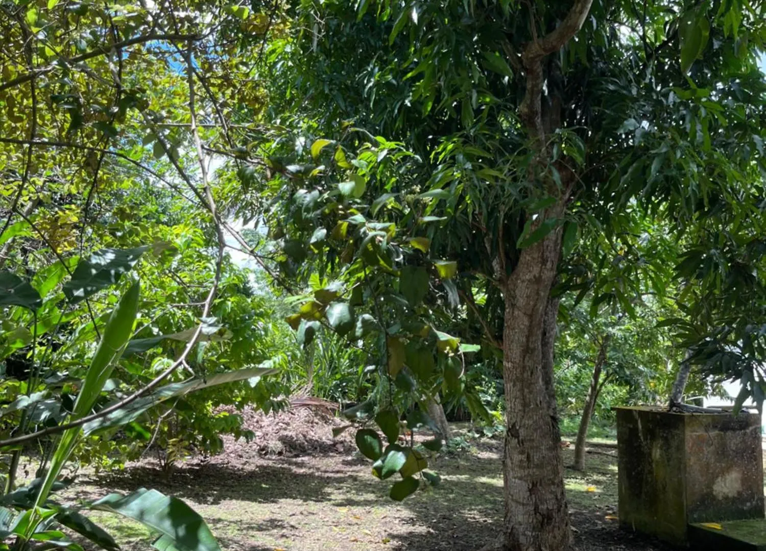 Villa Campagne Creole Blanchet