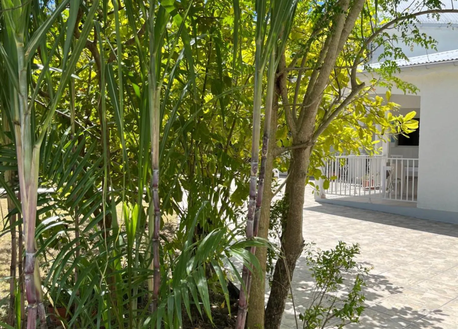 Villa Campagne Creole Blanchet Guadeloupe